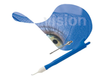 accesorios.jpg